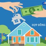 hop-dong-dat-coc1