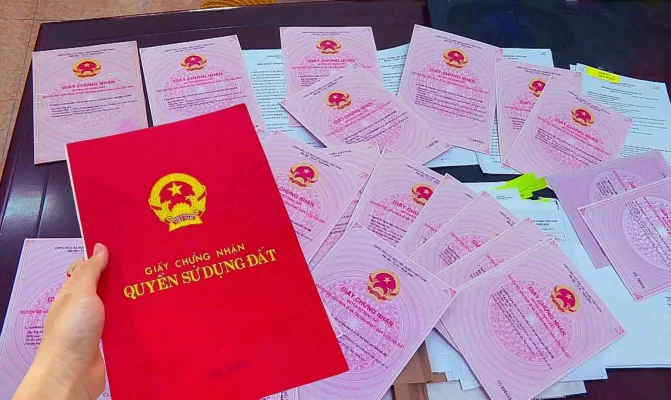 Hợp đồng tặng cho quyền sử dụng đất