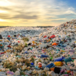 Chất thải rắn là gì? Quy định về xử lý chất thải rắn sinh hoạt Chất thải rắn sinh hoạt