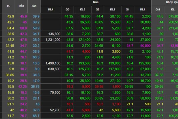 Di chúc để lại cổ phiếu và chứng khoán