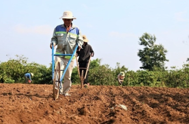 Giảm 80% tiền sử dụng đất