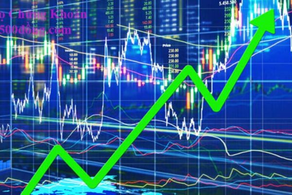 Di chúc để lại cổ phiếu và chứng khoán