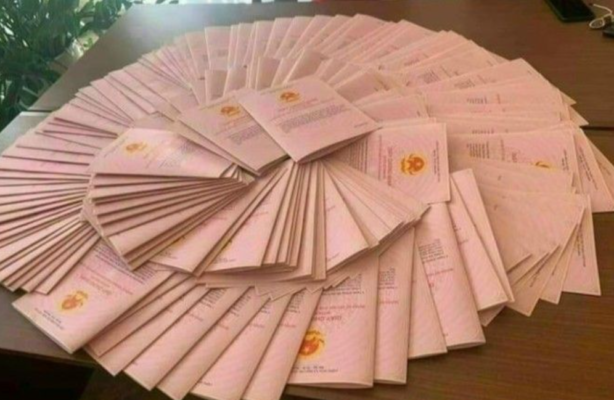 Tiền sử dụng đất 